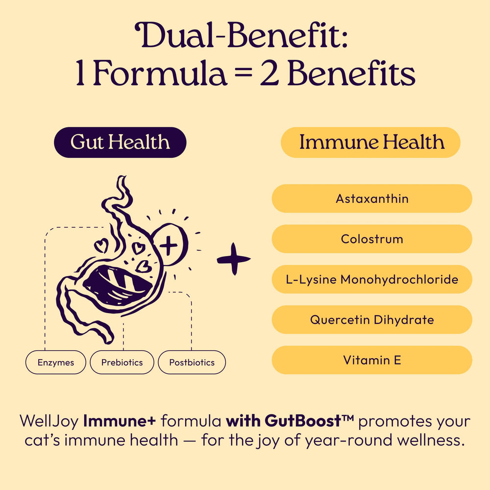 Ingrédients lysine présents dans WellJoy Immune+ pour immunité et respiration.