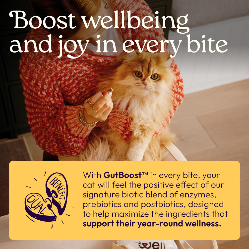 Quercetine dihydratée dans WellJoy Immune+ pour le confort quotidien.