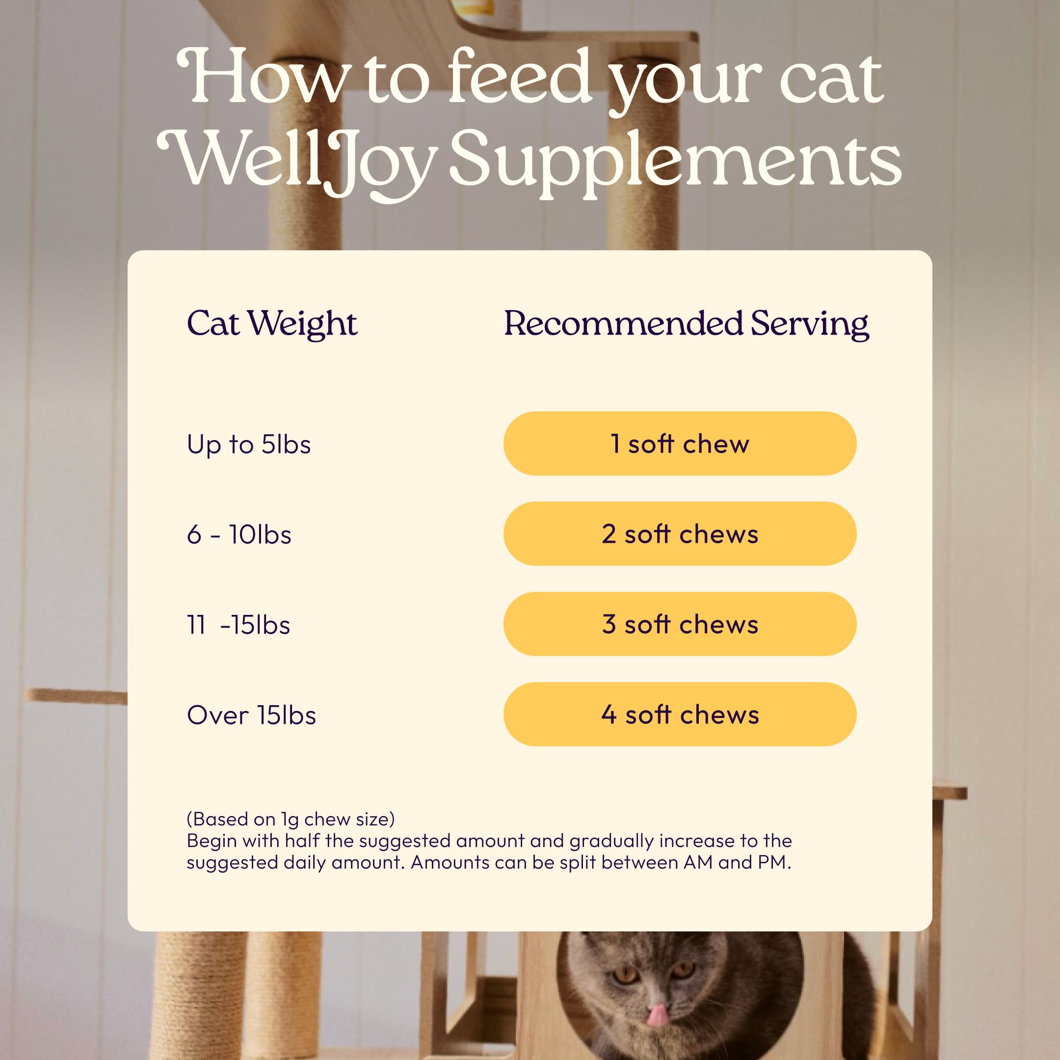 Saveur poulet de WellJoy Immune+ appréciée par les chats exigeants.