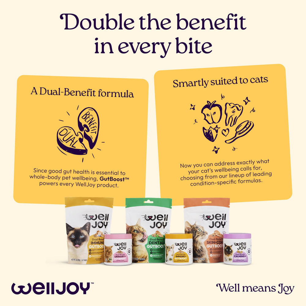 WellJoy Immunity+ vet formulée, qualité et sécurité pour les chats.