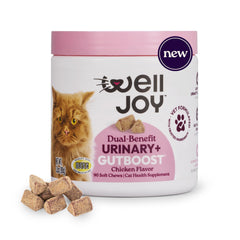 WellJoy Urinary+ GutBoost – emballage pratique, soutien urinaire quotidien pour chat.