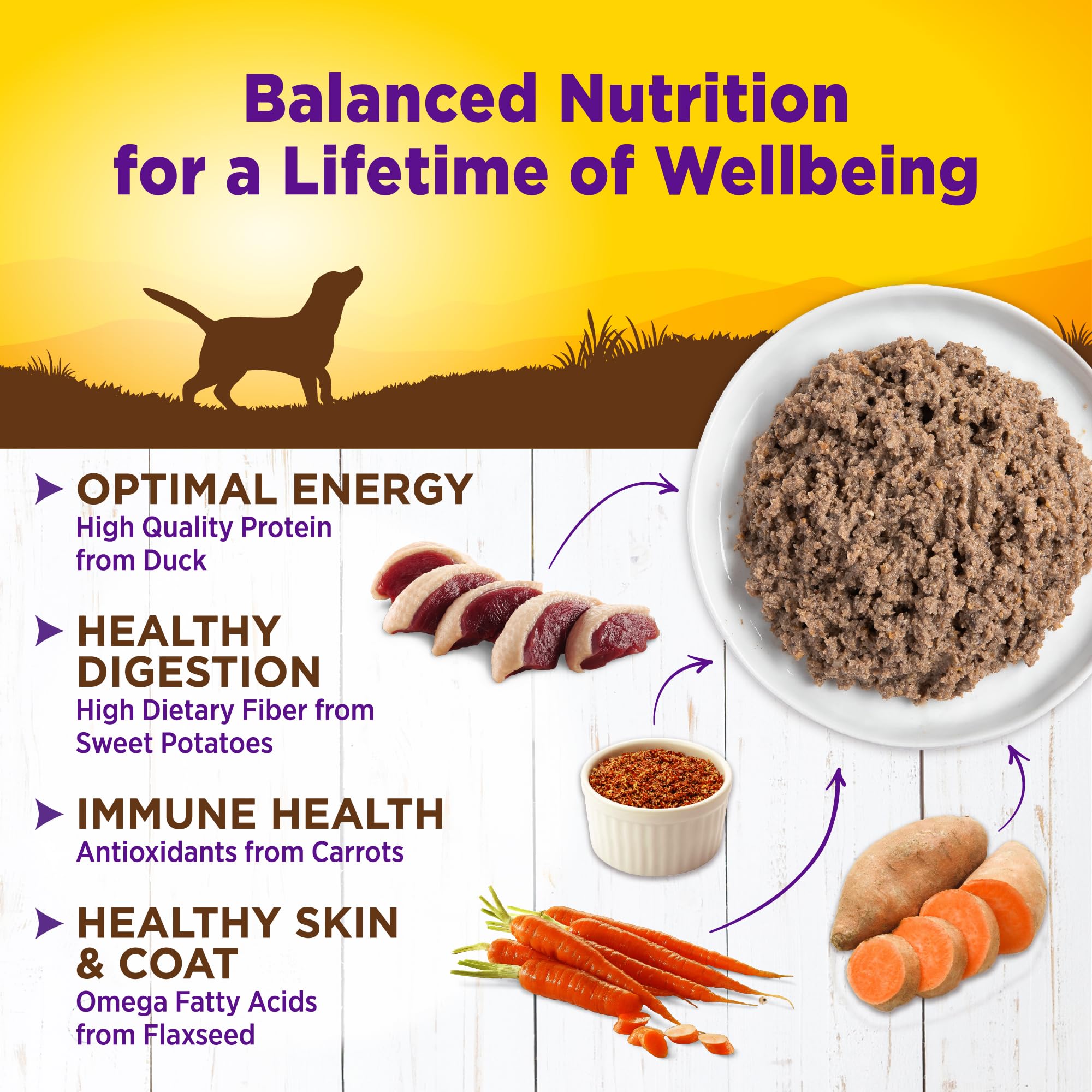 Wellness Complete Health: sans maïs ni blé ni soja, ingrédients naturels
