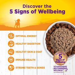 Wellness Complete Health chiot, antioxydants, peuvent soutenir les défenses naturelles.