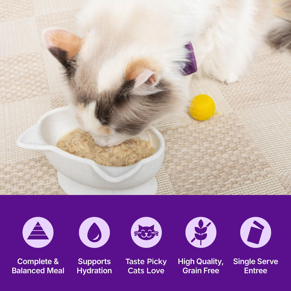 Texture mousse appétissante pour chat adulte, Wellness Appetissantes Entrées Mousse.
