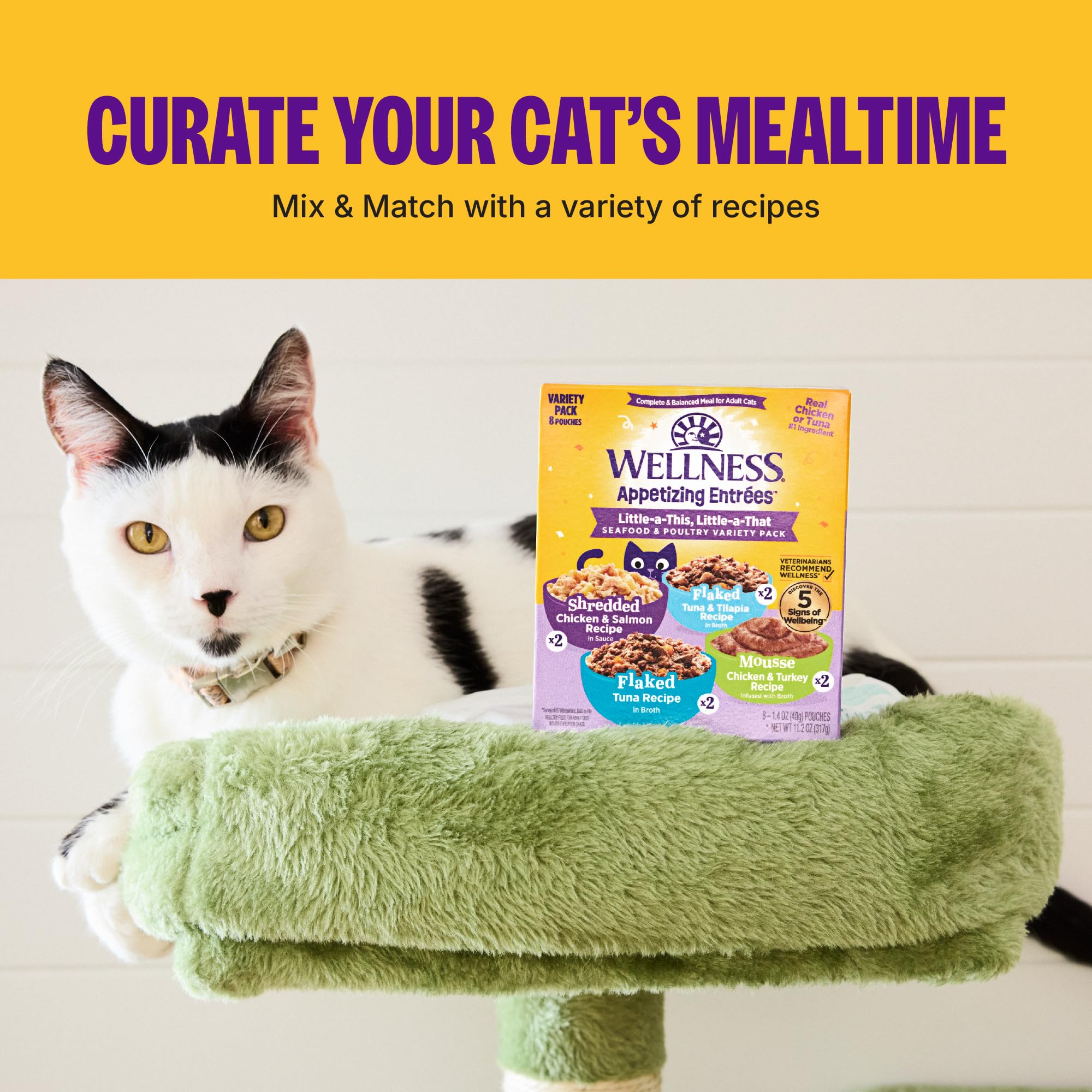Sans conservateurs Wellness Appetizing Entrées Mousse Chaton, alimentation sûre