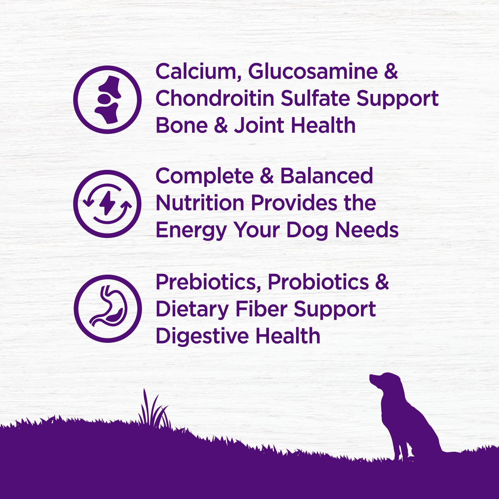 Wellness articulations glucosamine – soutien potentiel des articulations.