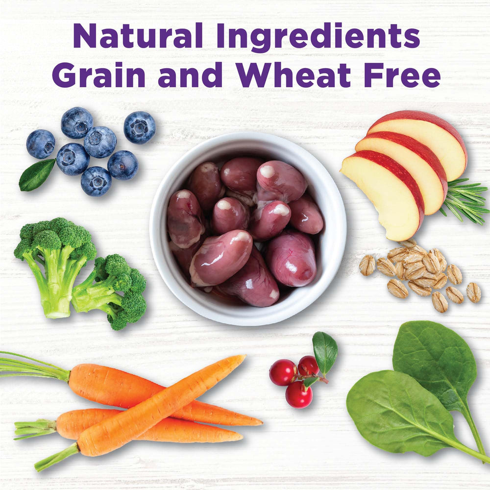 Wellness Bowl Boosters texture-legere-pour-chiens offre une expérience texturée attrayante.