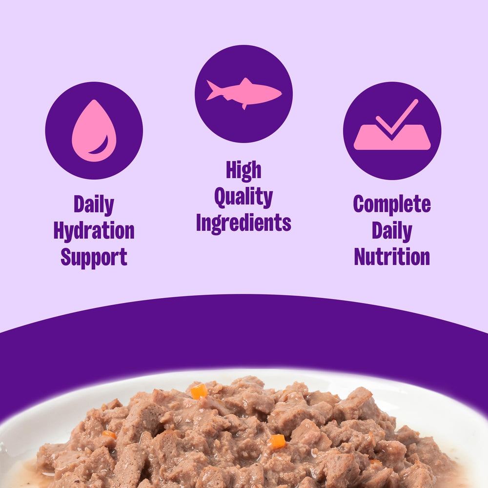Wellness Chat: boîte saumon ouverte, texture généreuse pour repas humide quotidien.