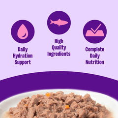 Wellness Chat: boîte saumon ouverte, texture généreuse pour repas humide quotidien.