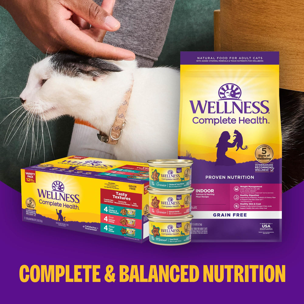 Wellness conservation température ambiante: servir à température ambiante et réfrigérer les restes.