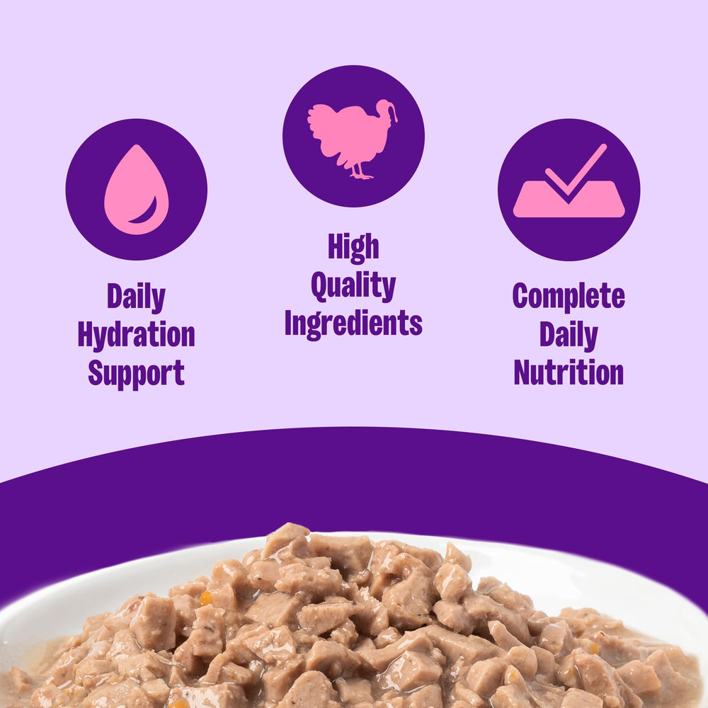 Wellness Chat Entrée Dinde Sauce Onctueuse – texture savoureuse et hydratation naturelle.
