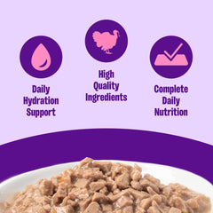 Wellness Chat Entrée Dinde Sauce Onctueuse – texture savoureuse et hydratation naturelle.
