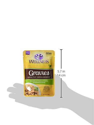 Wellness Chat: nourriture humide en sauce, pratique et adaptée à l'hydratation quotidienne.