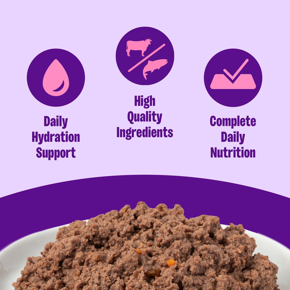 Wellness Chat Pâté Adulte Boeuf et Saumon, protéines de haute qualité pour l'énergie.
