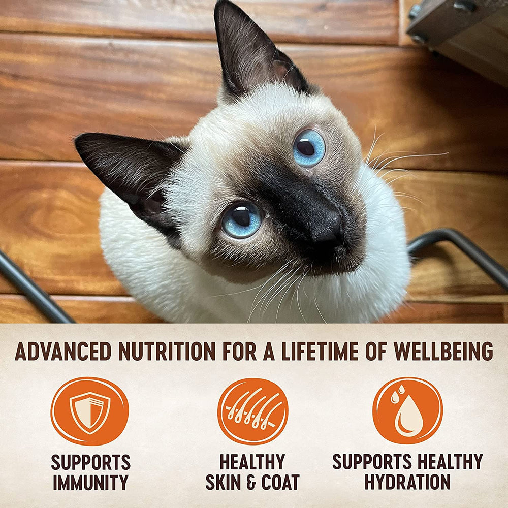 Wellness Chat Pâté Premium saveur Saumon, goût apprécié par les chats.