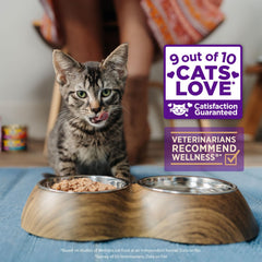 Texture légère de sauce au poulet et saumon, Wellness chat