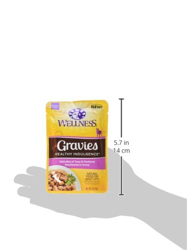 Wellness Chat – repas humide sans céréales, thon et maquereau, favorisant l'hydratation.