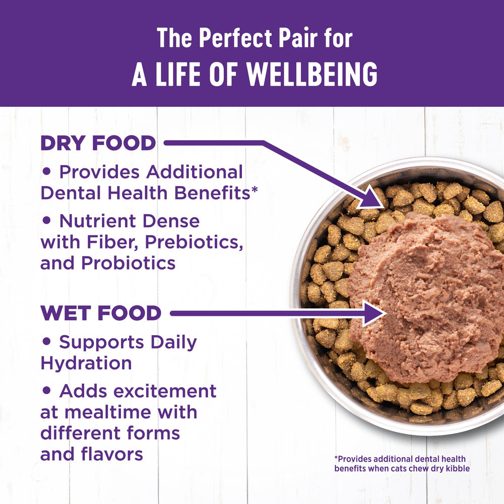 Wellness chaton calcium-phosphore - minéraux essentiels pour la croissance osseuse.