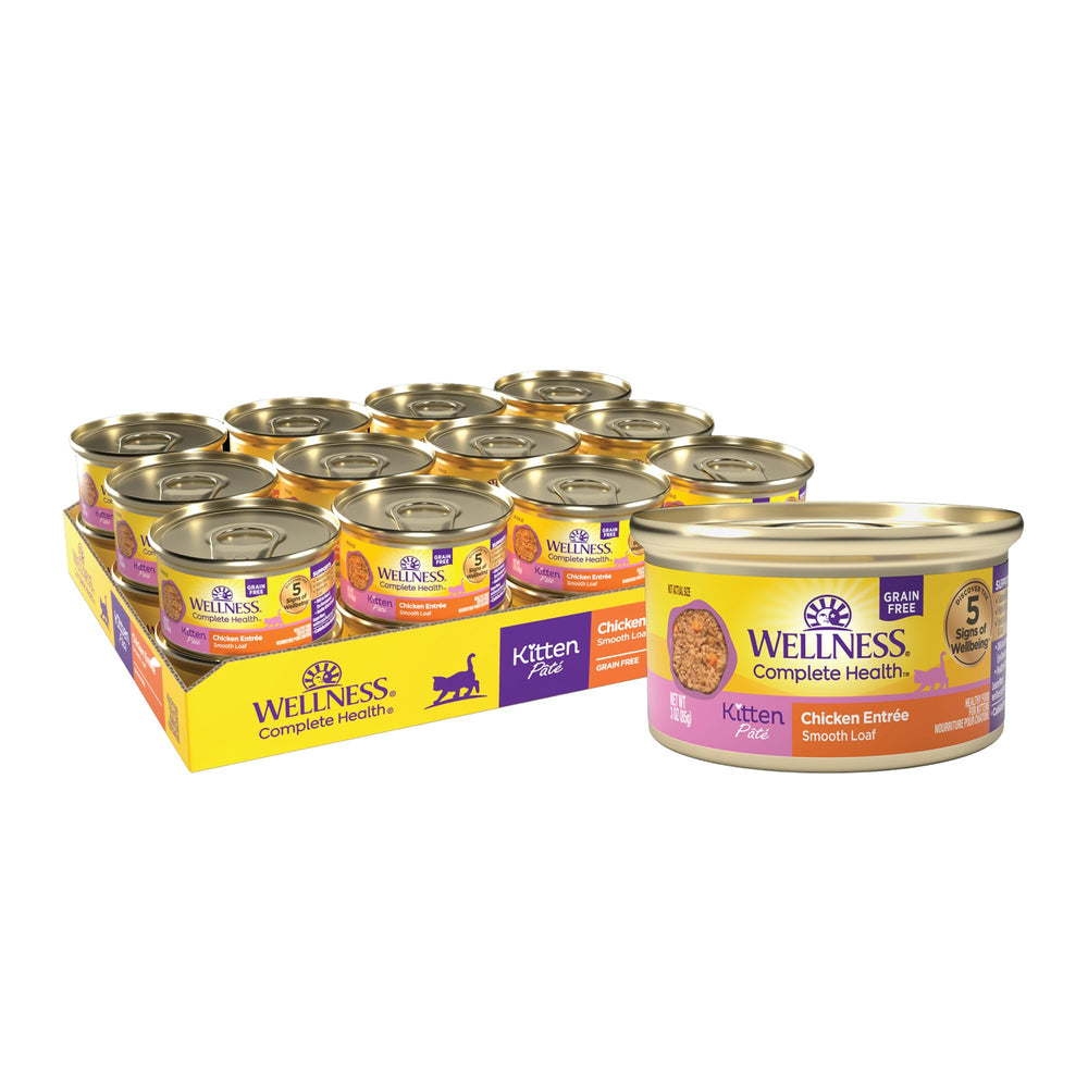 Wellness Chaton Pâté sur assiette, texture lisse et appétence accrue.