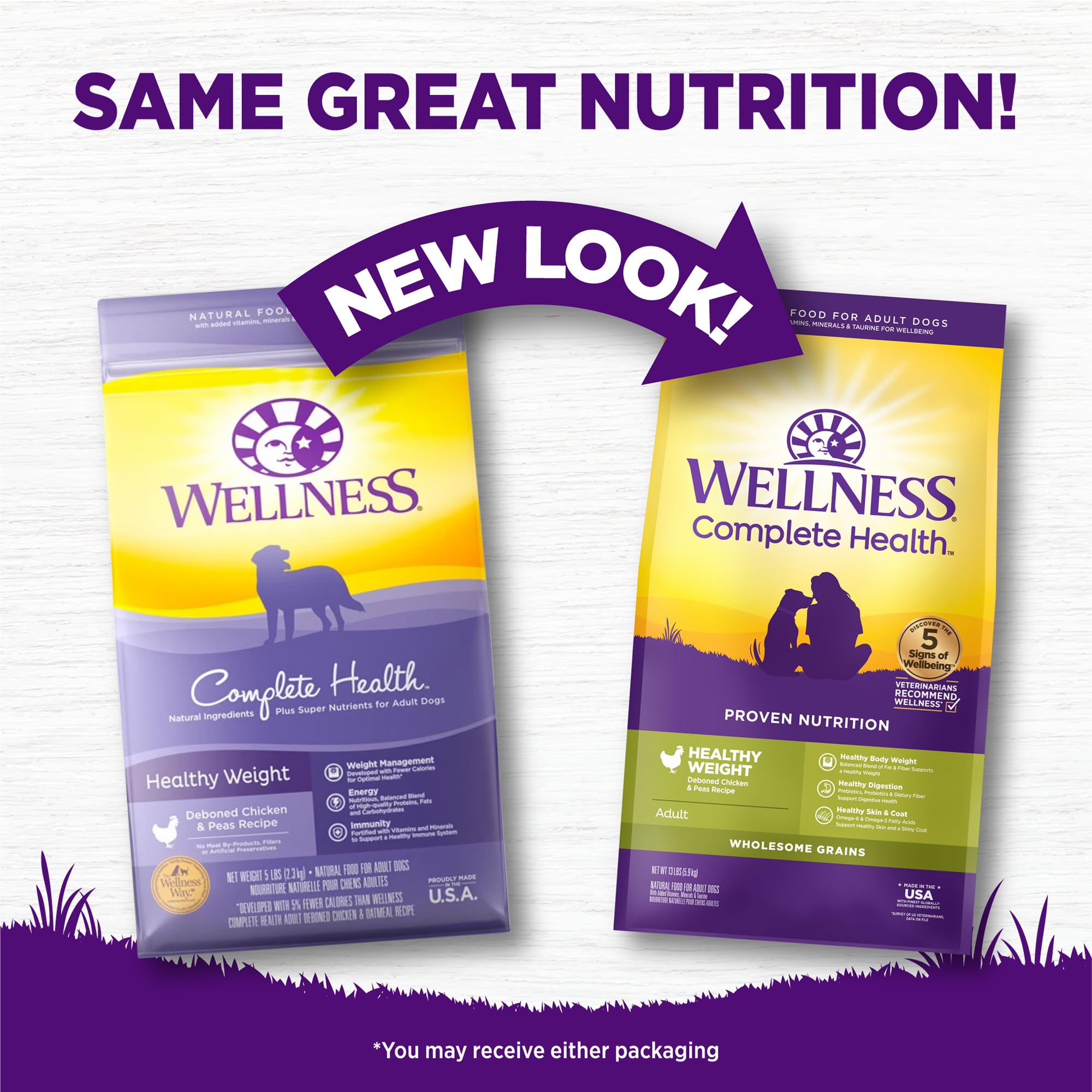 Chien savourant Wellness Complete Health dans un bol, repas adapté au quotidien.