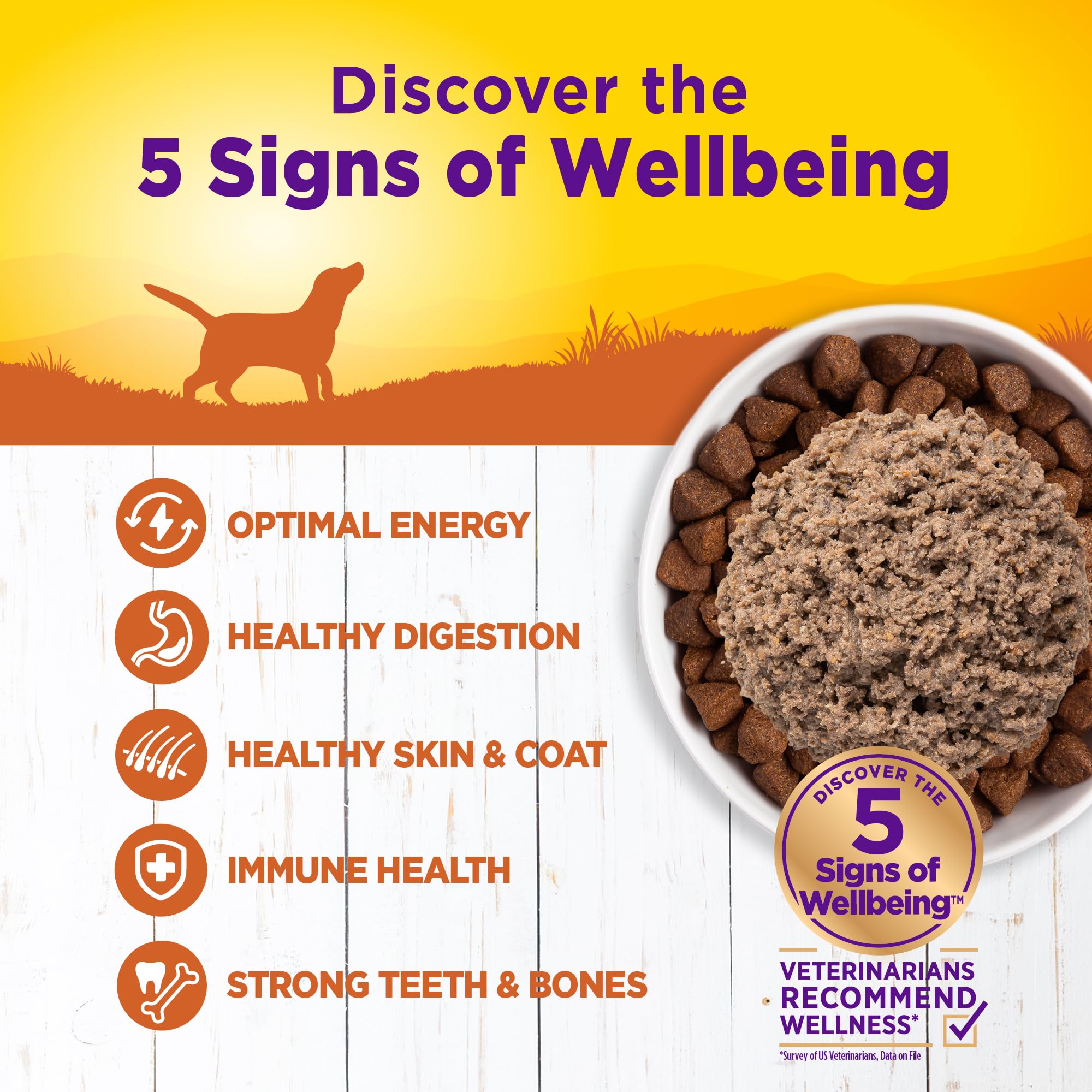 Chien dégustant Wellness Complete Health dans sa gamelle.