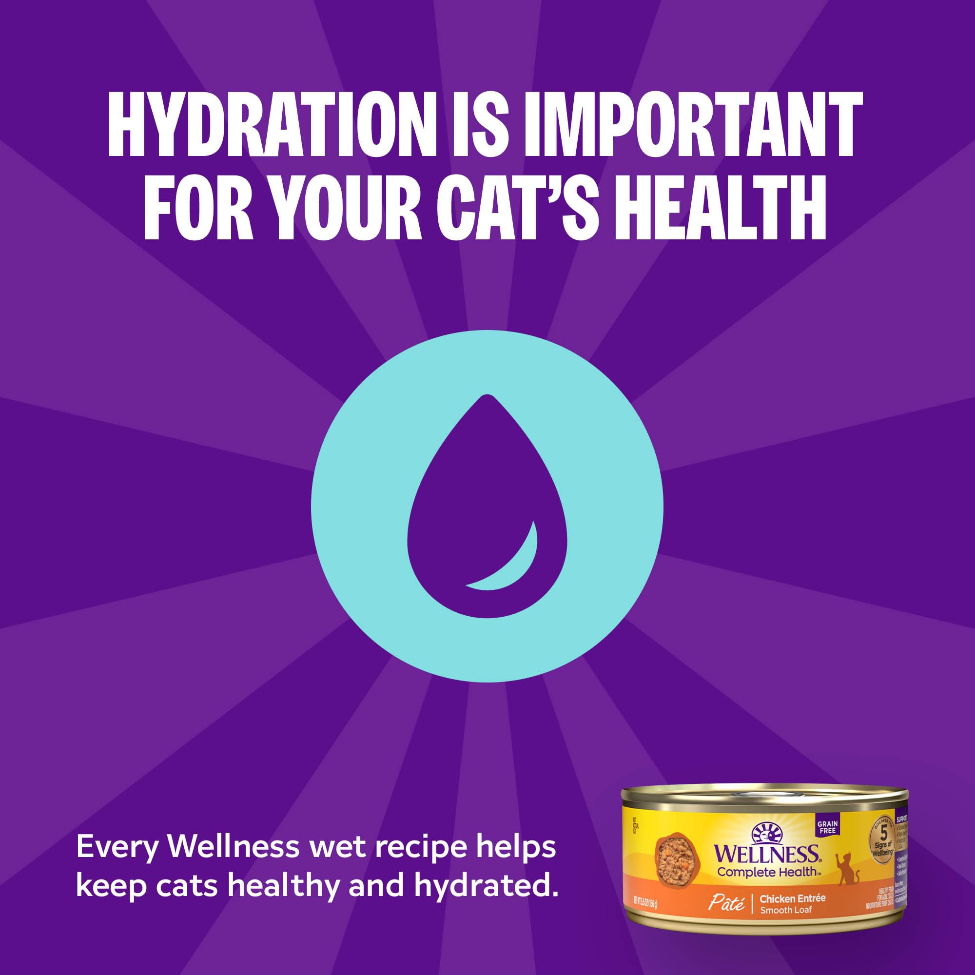 Wellness Complete Health Alimentation humide: hydratation facile pour chat.