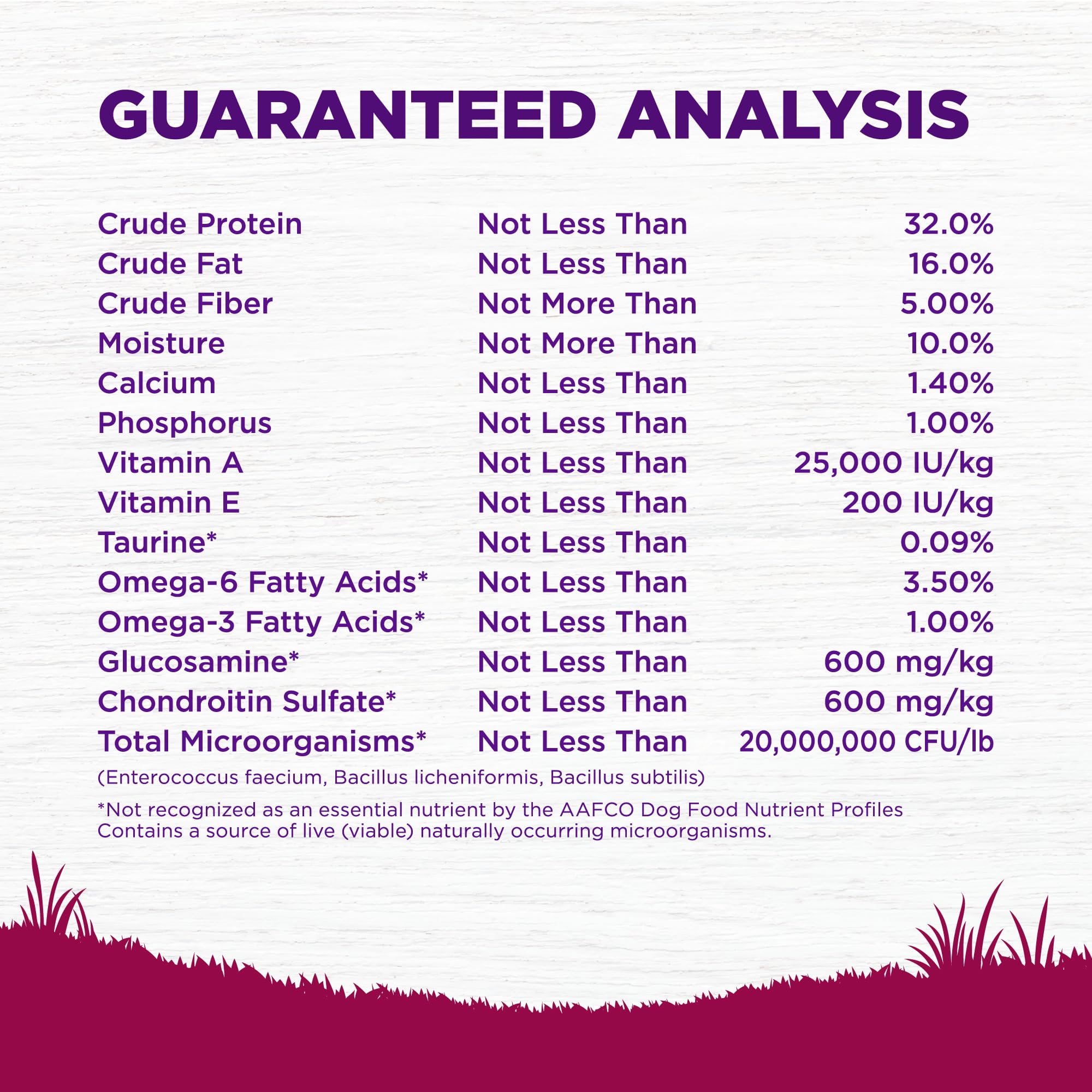 Antioxydants et soutien immunitaire dans Wellness Complete Health.