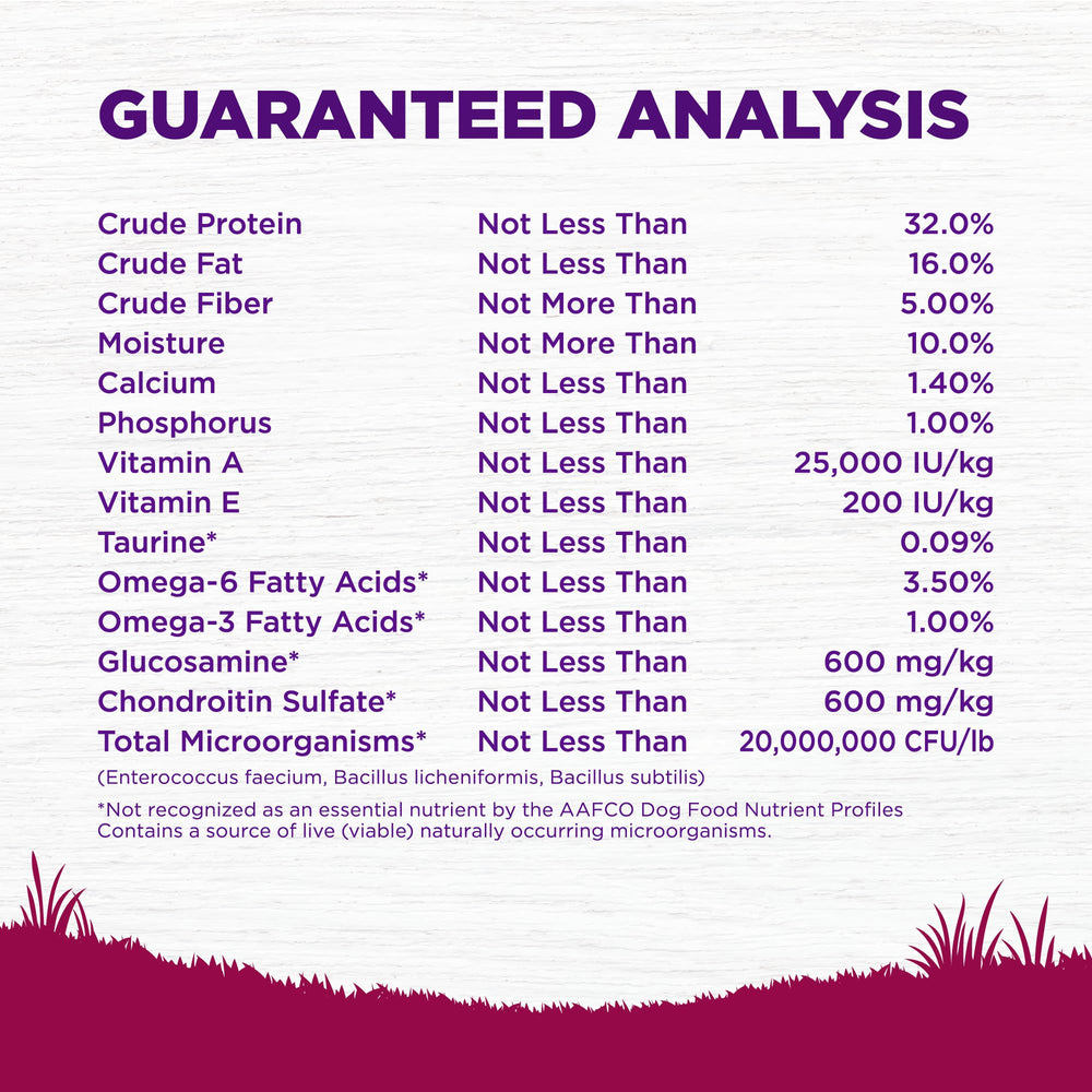 Antioxydants et soutien immunitaire dans Wellness Complete Health.