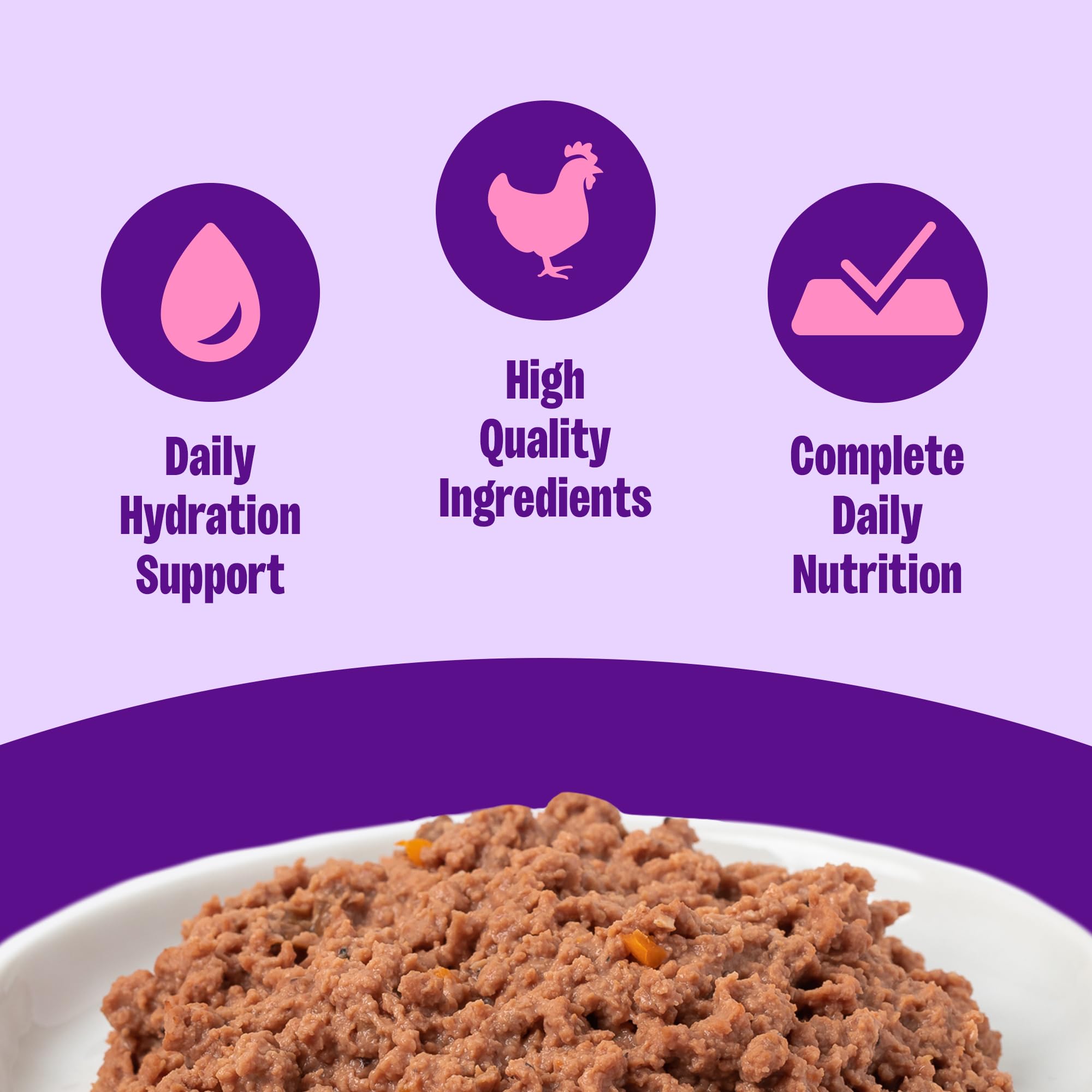 Wellness Complete Health Chat Adulte — texture onctueuse de pâté, appétence naturelle.