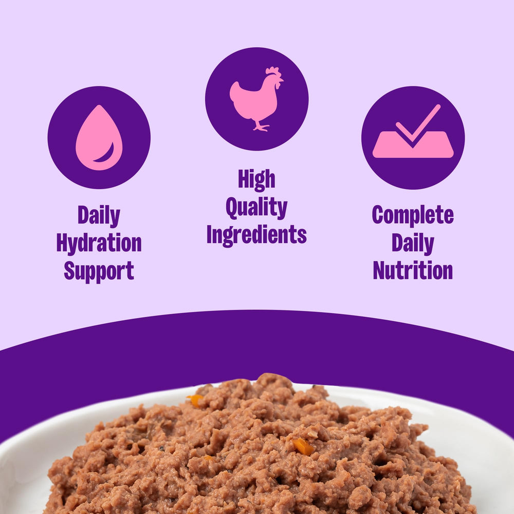 Wellness Complete Health Chat Adulte — texture onctueuse de pâté, appétence naturelle.