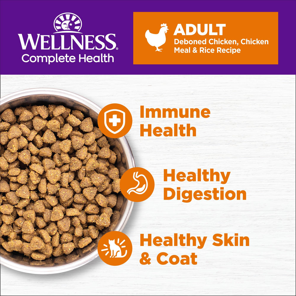 Wellness Complete Health: croquettes chat poulet, image montrant la nourriture savoureuse.