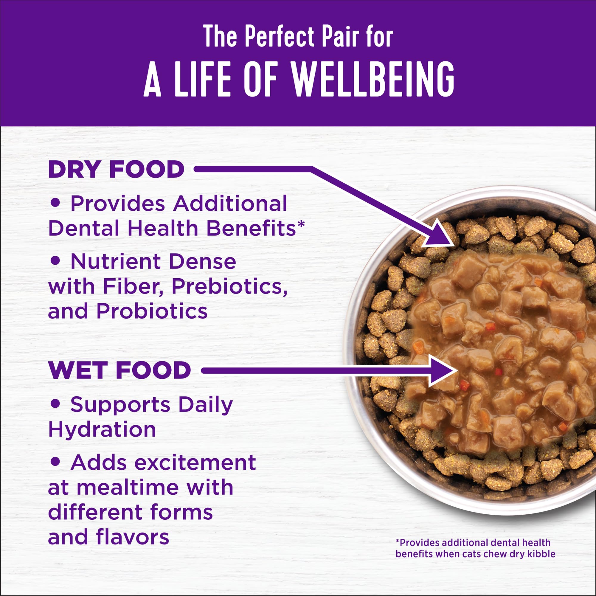 Wellness Complete Health: énergie durable pour chat actif et joueur.