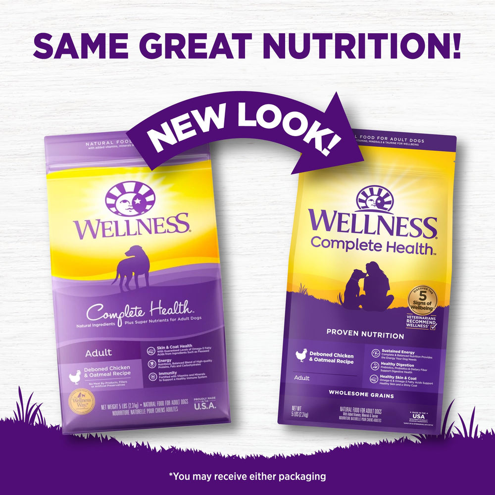 Bol de croquettes Wellness Complete Health, repas équilibré pour chien.