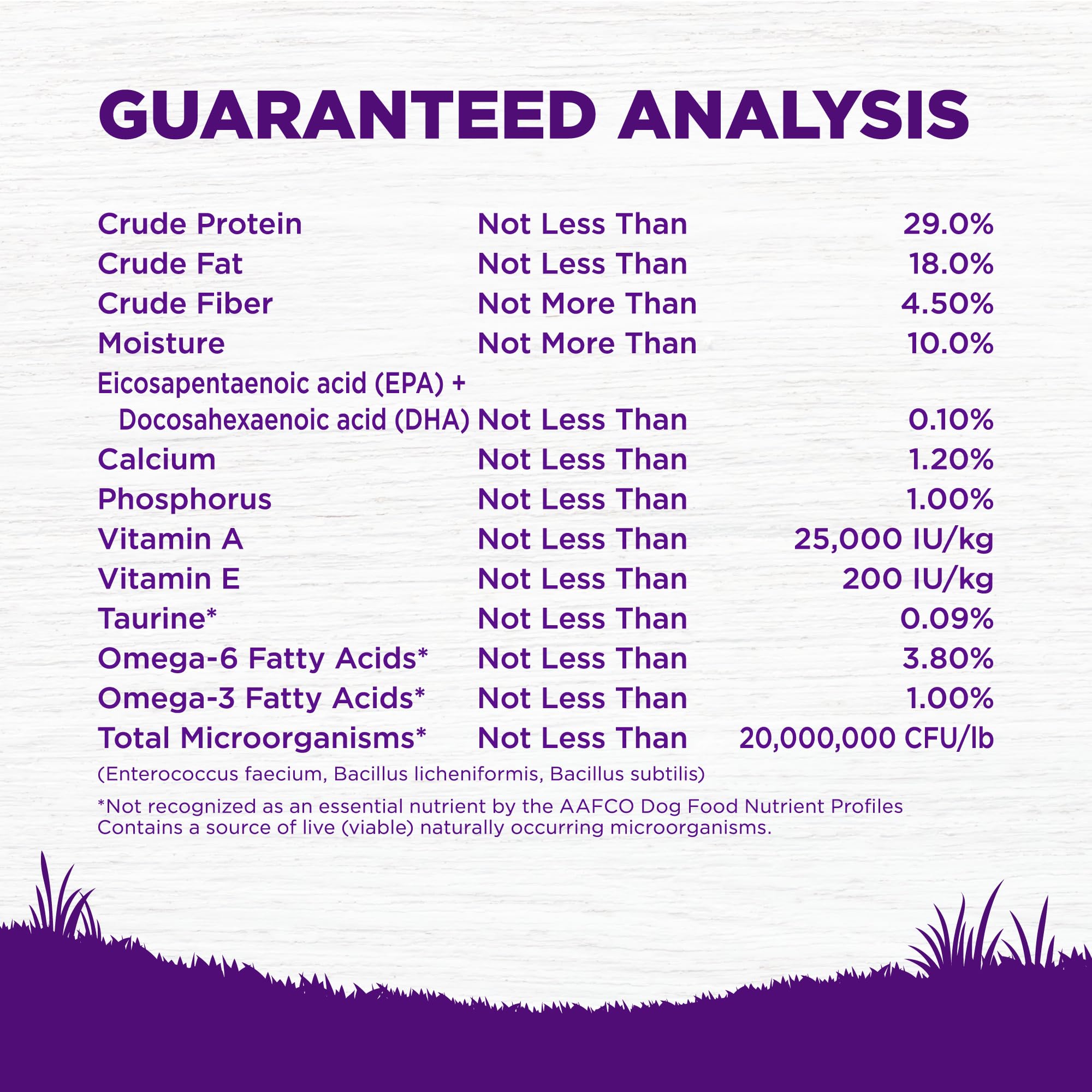 Wellness Complete Health chiot protéines poulet saumon, formulation équilibrée pour énergie et vitalité.