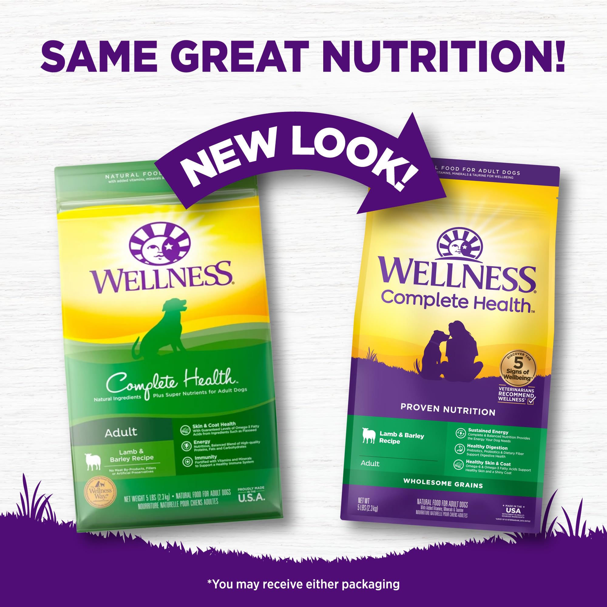 Wellness Complete Health croquettes adultes orge: énergie durable et digestion.