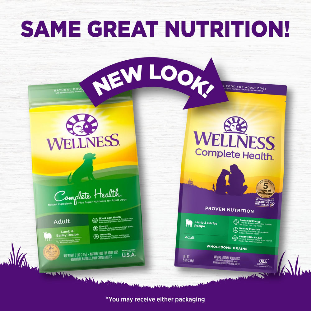 Wellness Complete Health croquettes adultes orge: énergie durable et digestion.