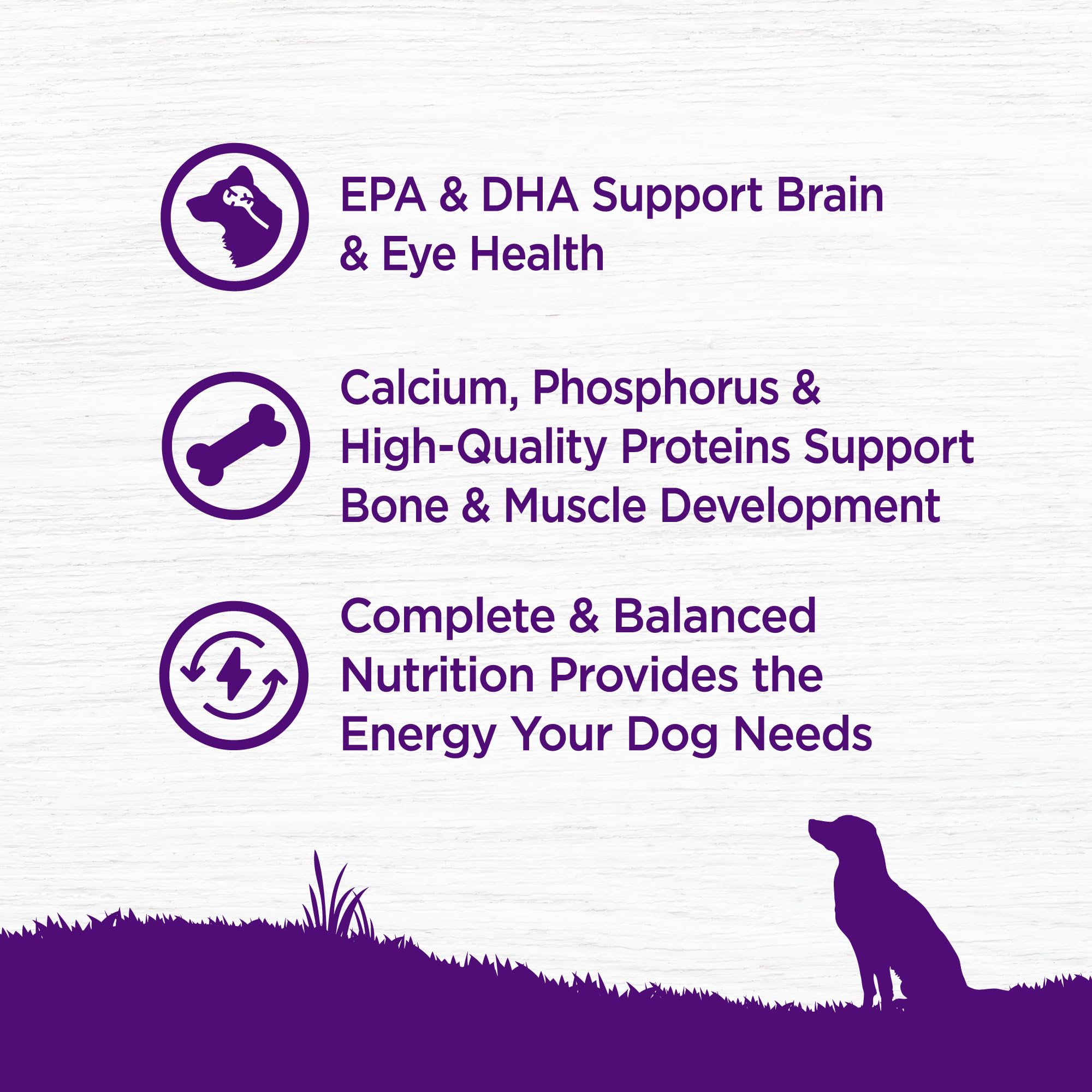 DHA provenant du saumon dans Wellness Complete Health pour le cerveau et la peau.