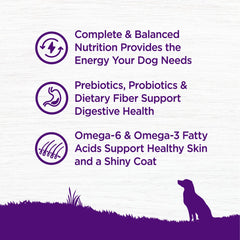 Wellness Complete Health: soutien potentiel immunitaire et pelage sain pour votre chien.