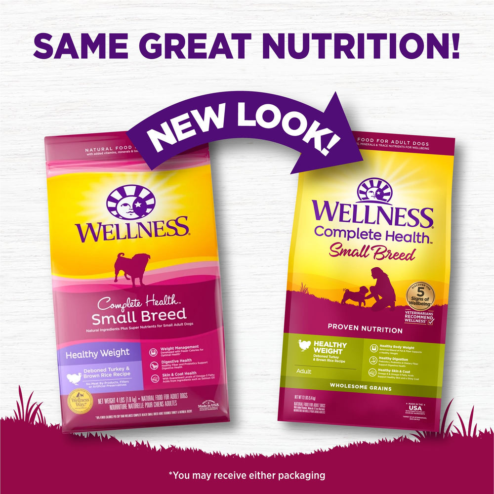 Ingrédients naturels Wellness Complete Health: dinde et riz brun pour petite race.