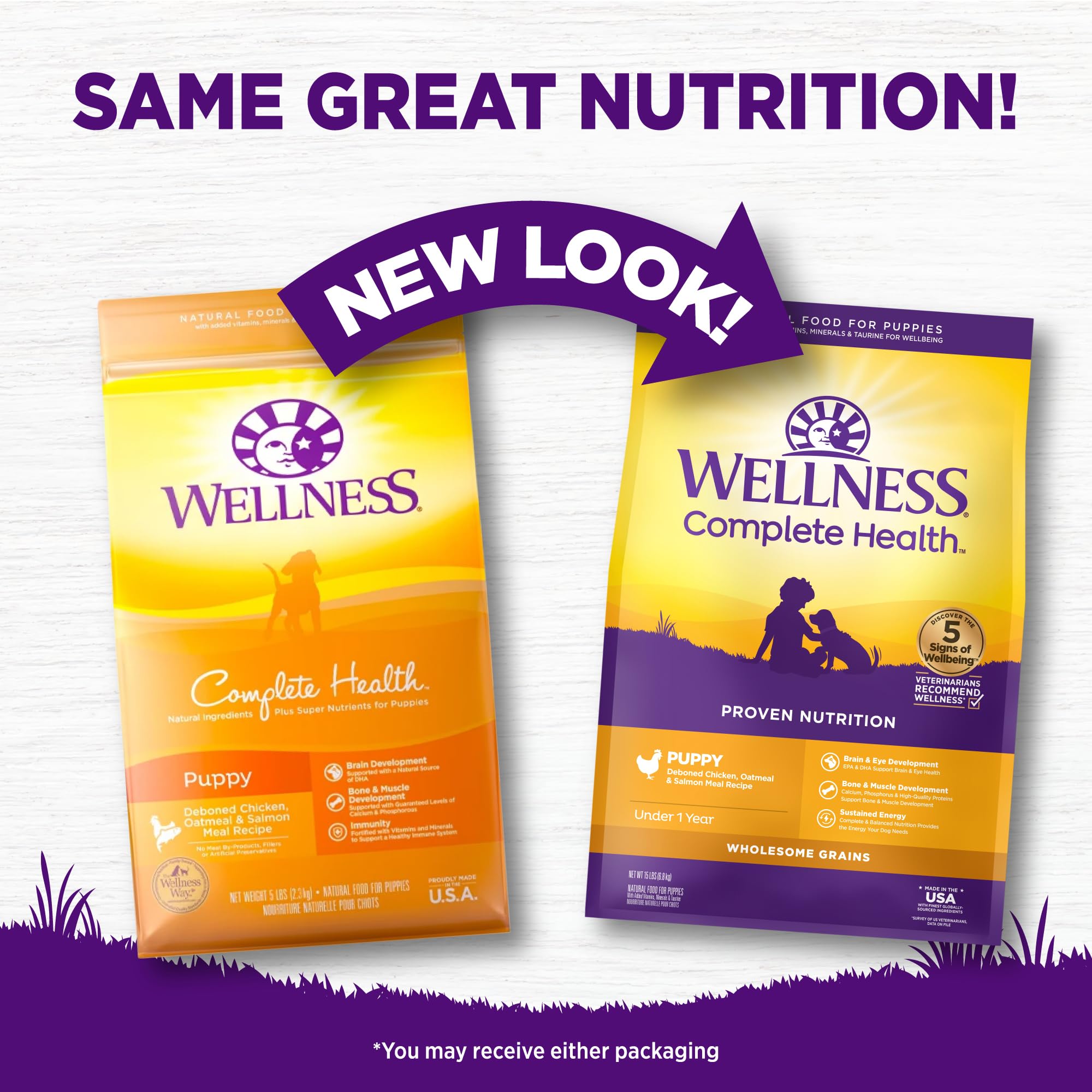 Ingrédients Wellness Complete Health: poulet, saumon et avoine pour chiots.