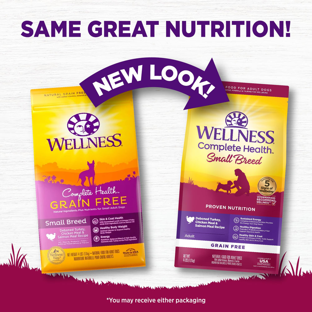 Ingrédients Wellness Complete Health: protéines poulet et saumon pour nutrition équilibrée.