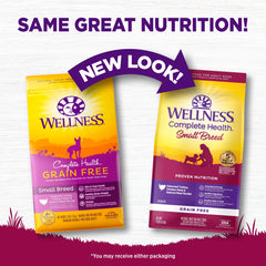 Ingrédients Wellness Complete Health: protéines poulet et saumon pour nutrition équilibrée.