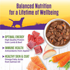 Paquet de douze boîtes Wellness Complete Health en conserve.