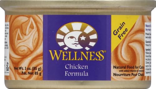 Texture onctueuse de Wellness Complete Health Pâté, idéale pour repas quotidien
