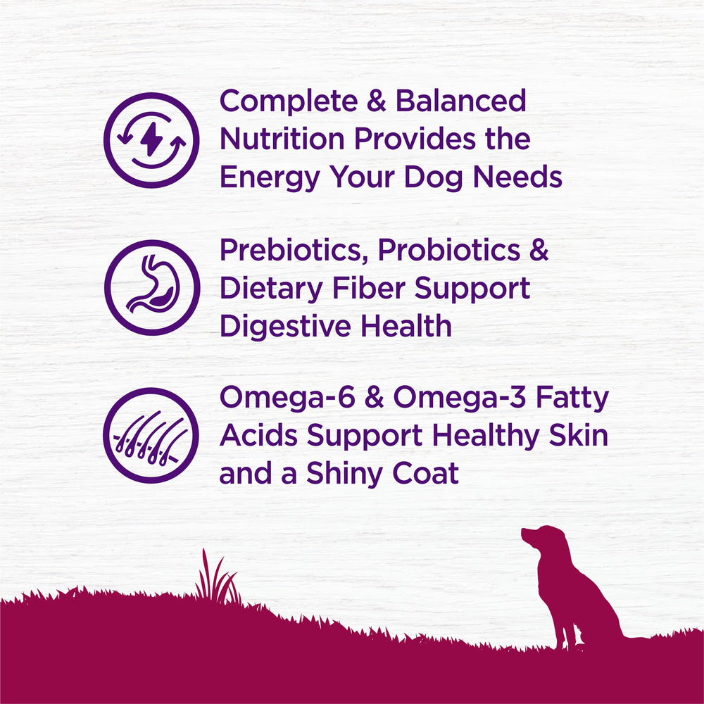 Wellness Complete Health probiotiques et digestibilité améliorée pour votre chien