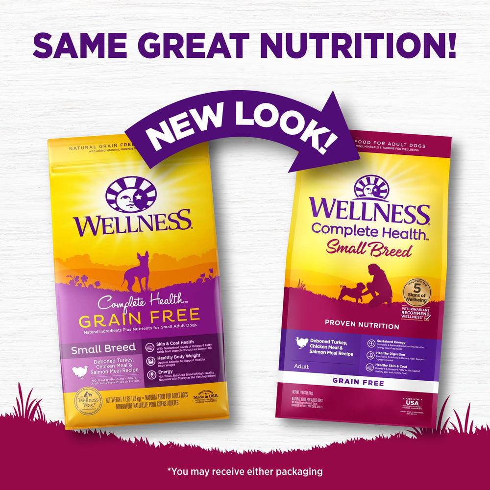 Protéines de poulet et saumon dans Wellness Complete Health, nutrition équilibrée.