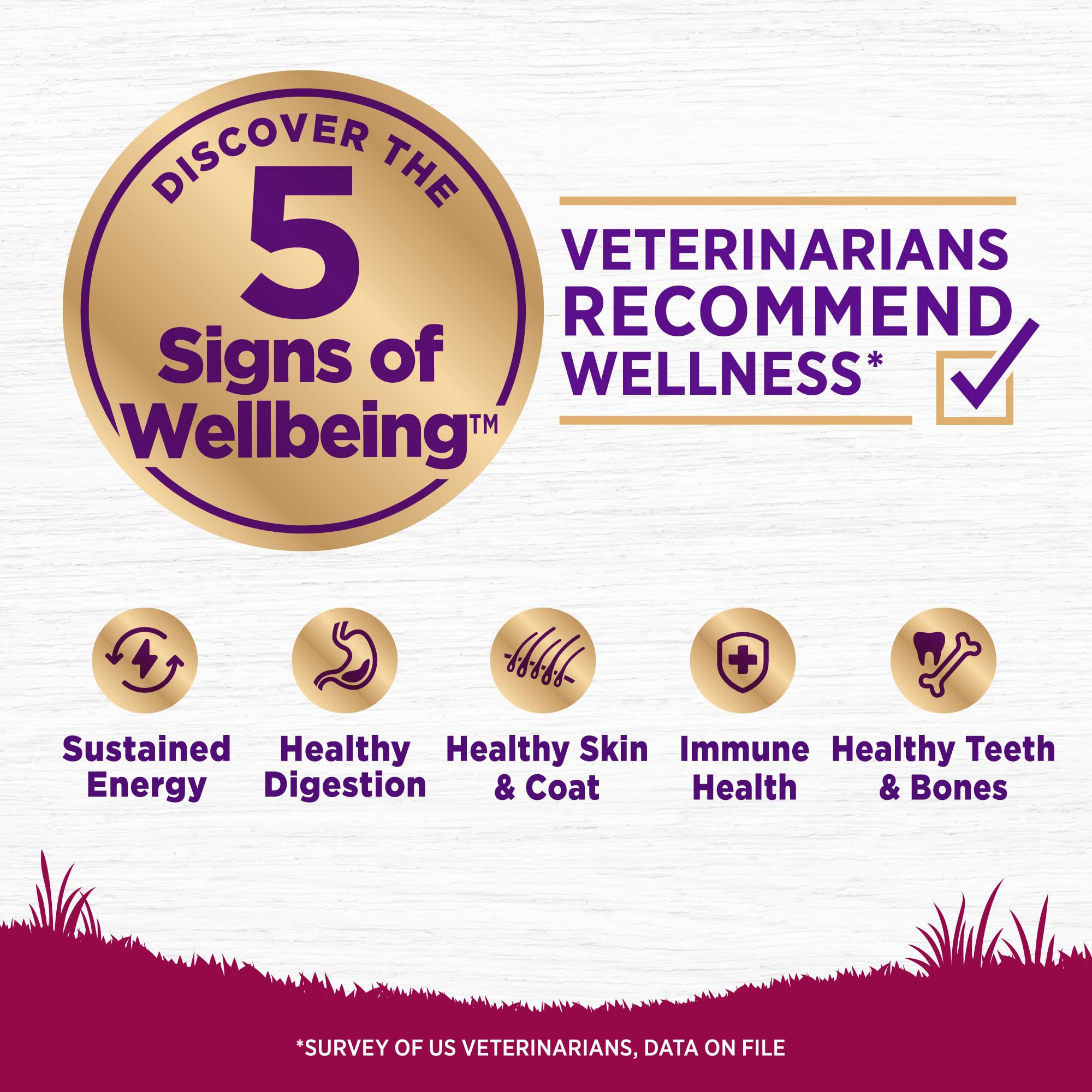 Sachet Wellness Complete Health montrant croquettes pour petits chiens.