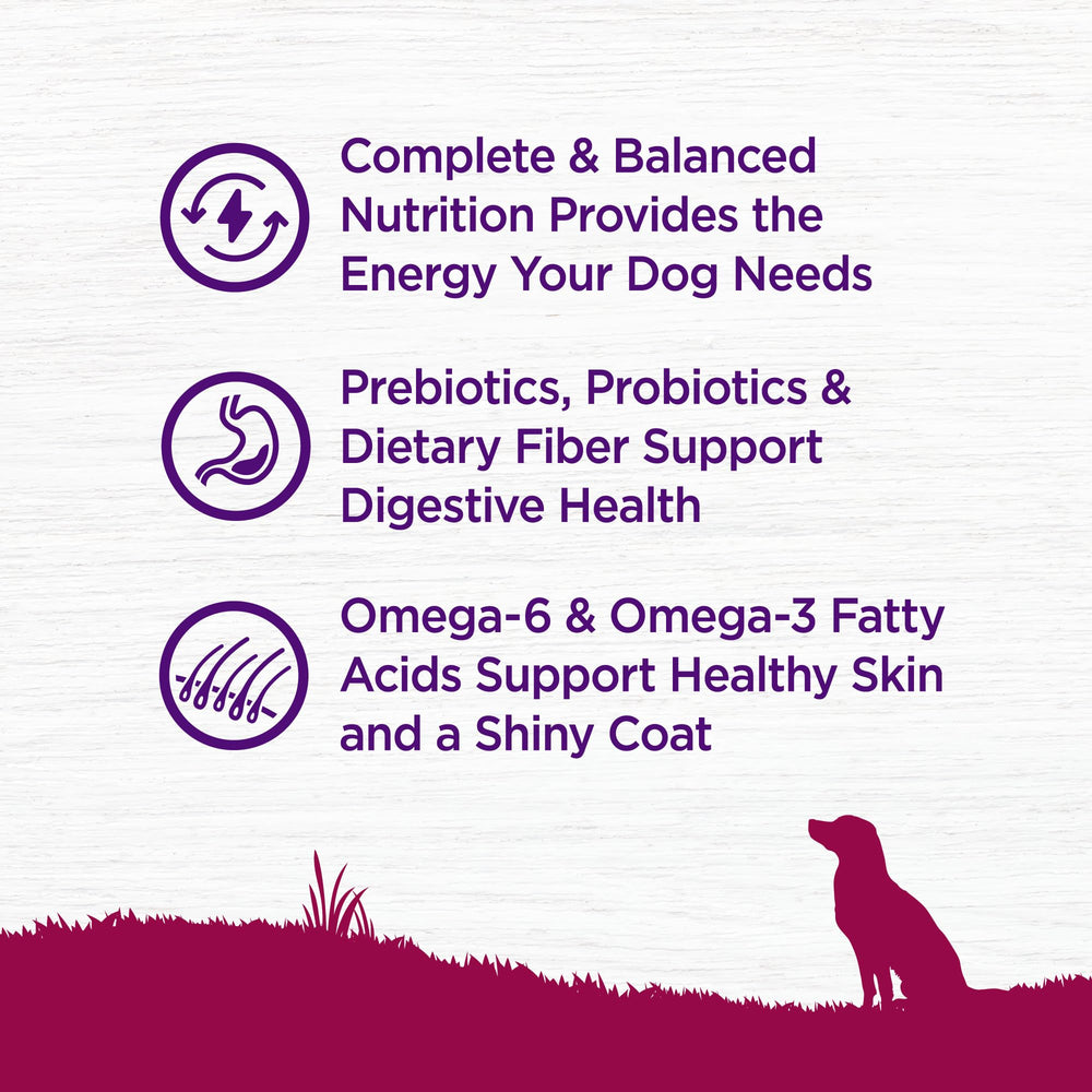 Formulation sans céréales Wellness Complete Health pour petits chiens.