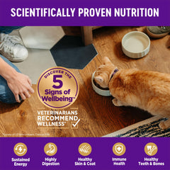Équipe vétérinaires et nutritionnistes Wellness Complete Health Senior pour une recette équilibrée.