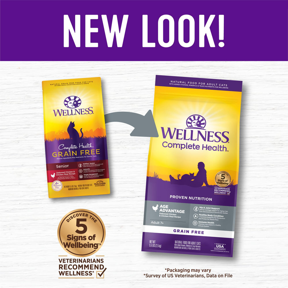 Texture des croquettes Wellness Complete Health Senior appréciée par les chats.